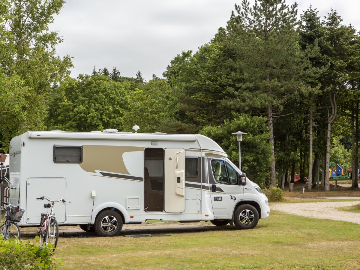 Viborg Sø camping
